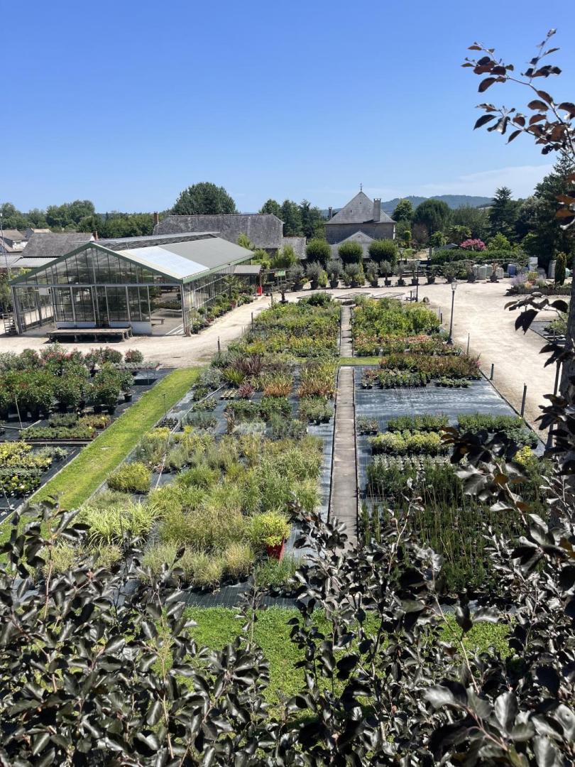 Vente d'arbres fruitiers Brive-la-Gaillarde